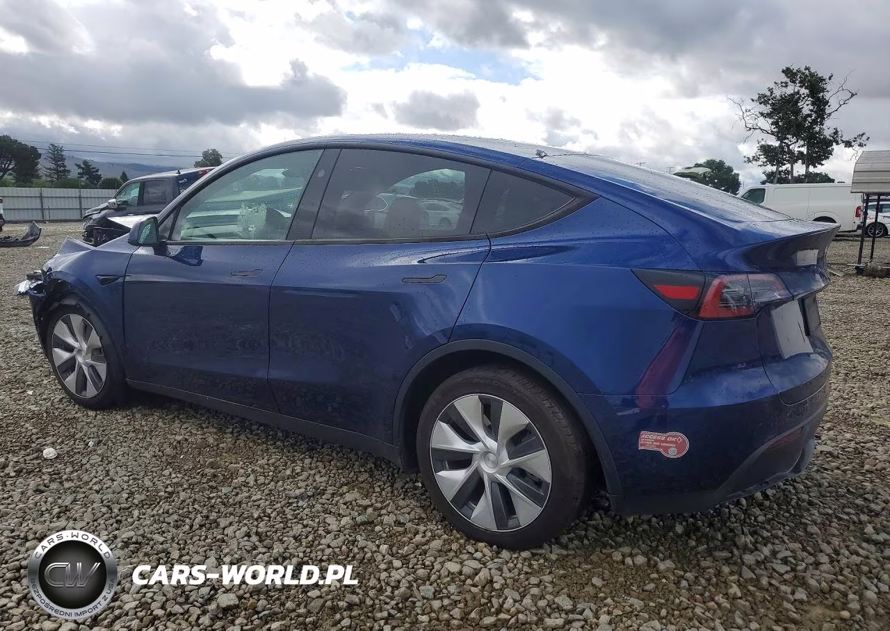 2023 Tesla Model Y VIN:7SAYGDEE0PF809264 - 2