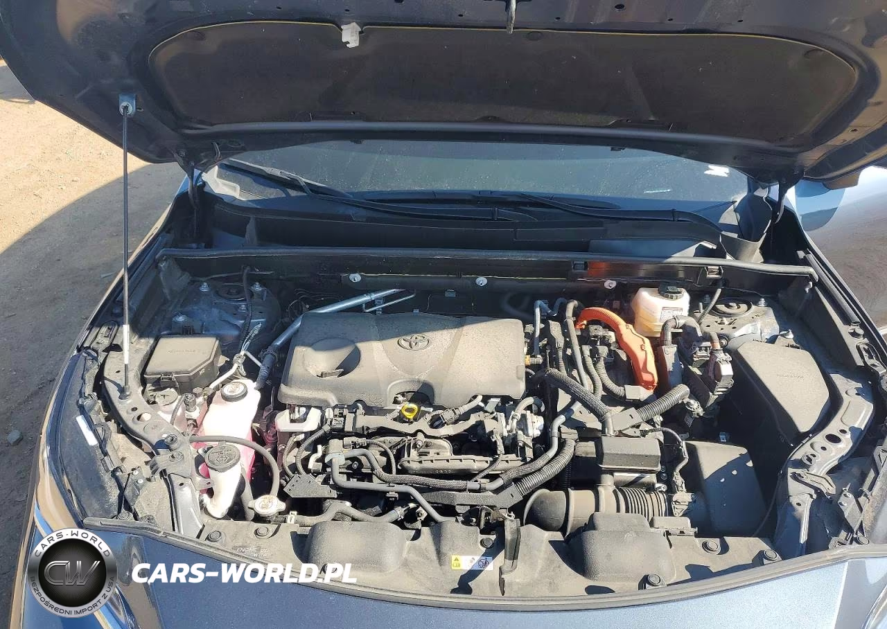 2024 Toyota Venza Xle VIN:JTEAAAAH0RJ181647 - 12