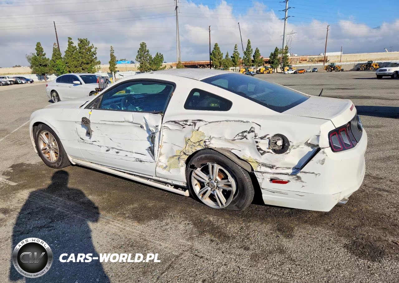 2013 Ford Mustang VIN:1ZVBP8AMXD5203441 - 2
