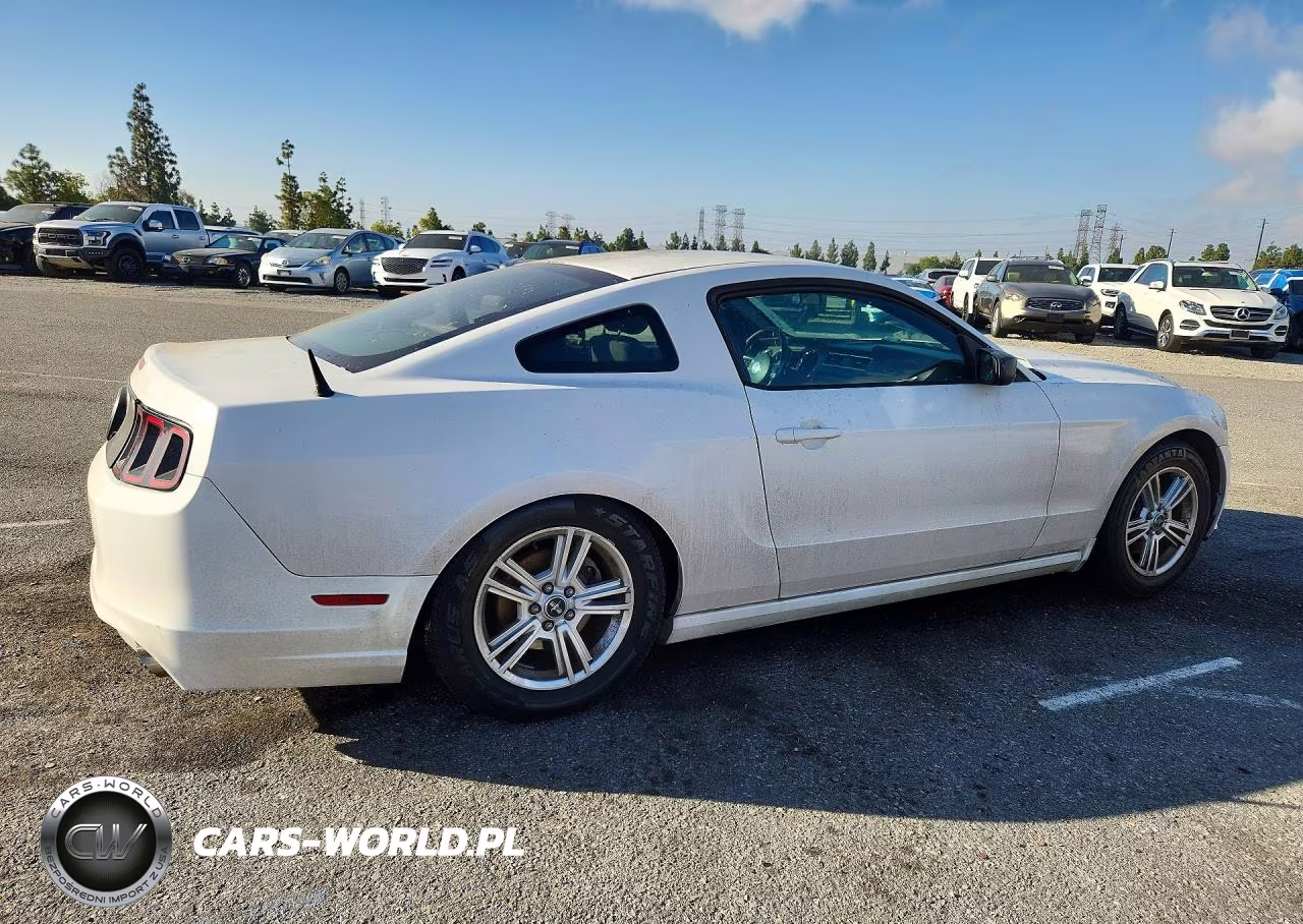 2013 Ford Mustang VIN:1ZVBP8AMXD5203441 - 3
