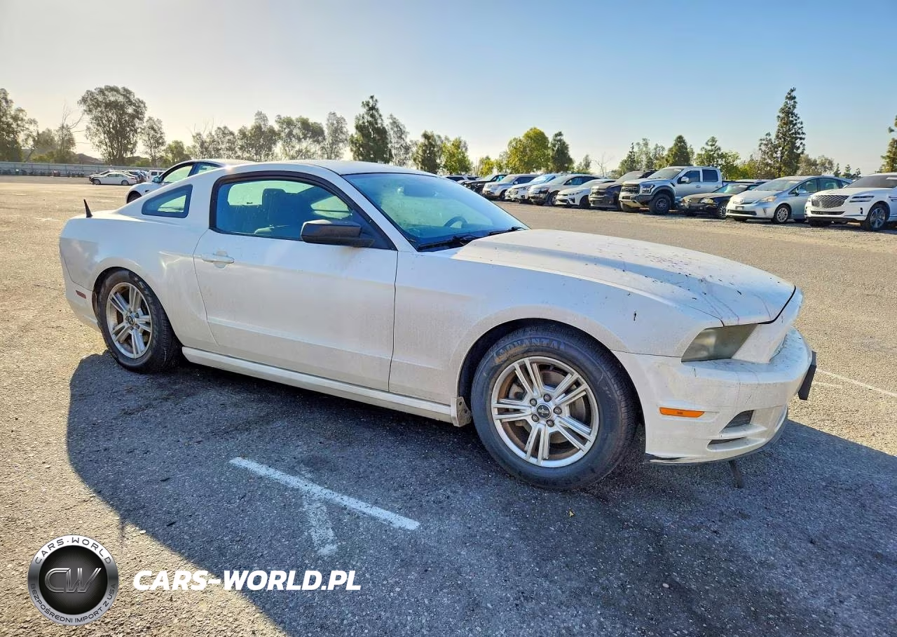 2013 Ford Mustang VIN:1ZVBP8AMXD5203441 - 4