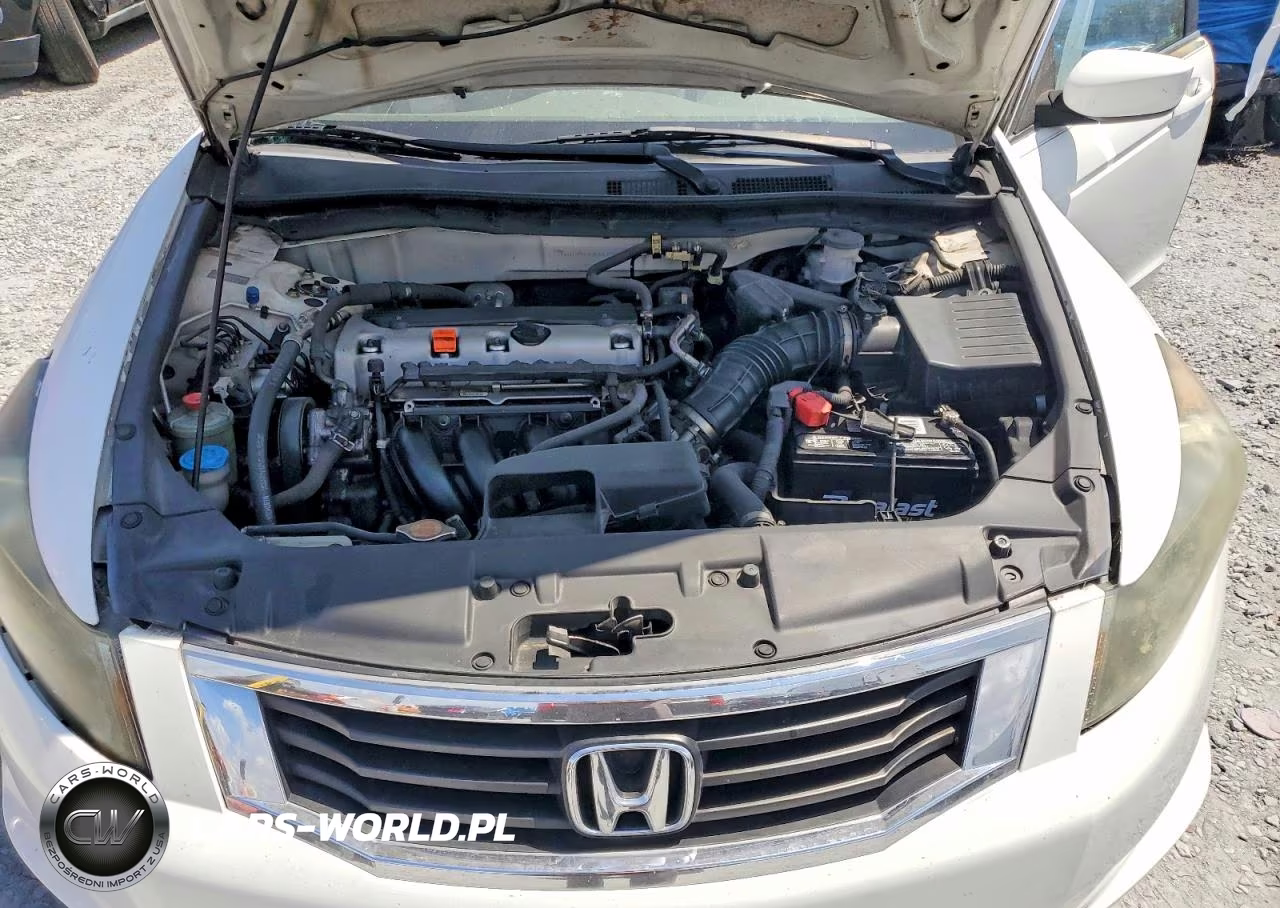 2010 Honda Accord Lxp VIN:1HGCP2F46AA191743 - 11