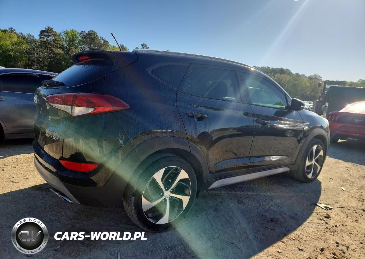 2017 Hyundai Tucson Sport VIN:KM8J33A21HU458921 - 3