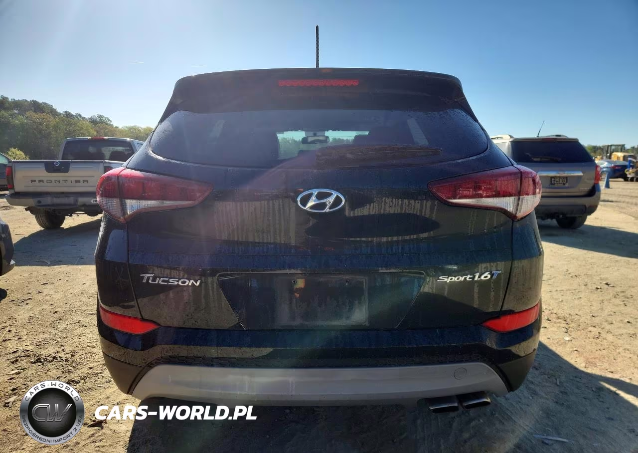 2017 Hyundai Tucson Sport VIN:KM8J33A21HU458921 - 6