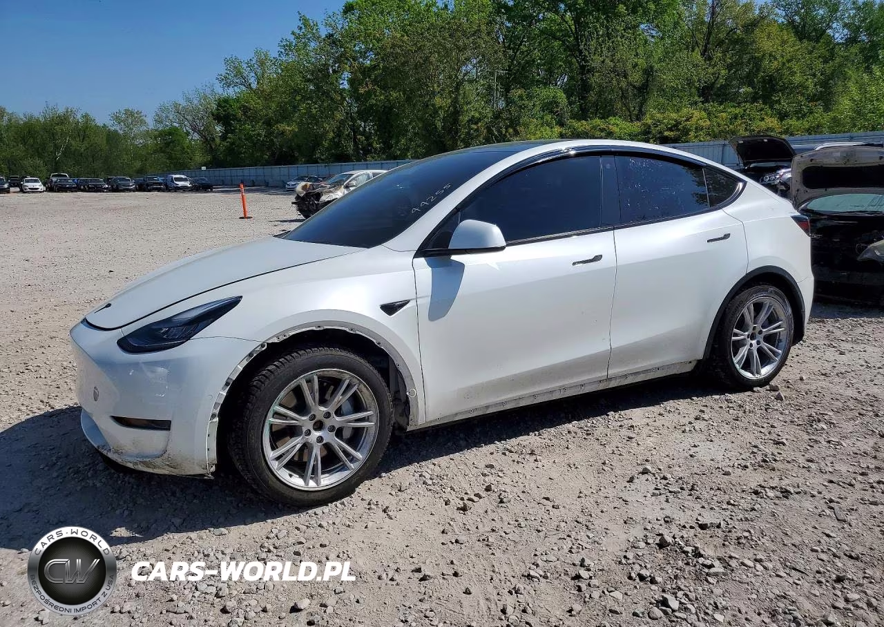 2020 Tesla Model Y
