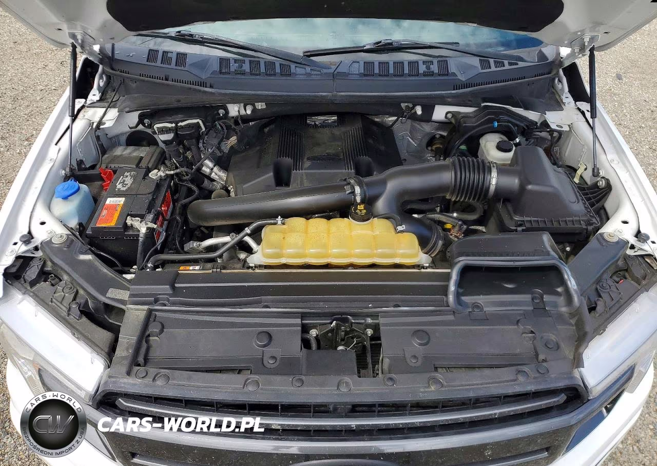 2019 Ford F150 Supercrew VIN:1FTEW1E47KKD05315 - 11