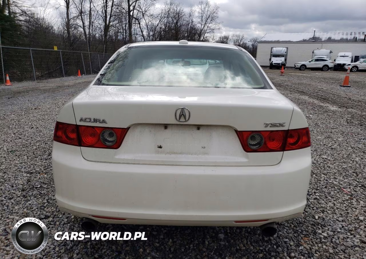 2008 Acura Tsx VIN:JH4CL96898C019029 - 6