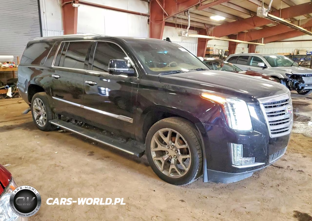 2016 Cadillac Escalade Esv Platinum VIN:1GYS4KKJ4GR393970 - 4