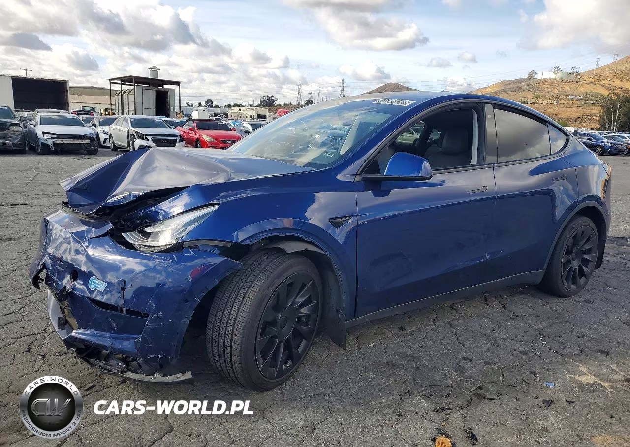 2020 Tesla Model Y