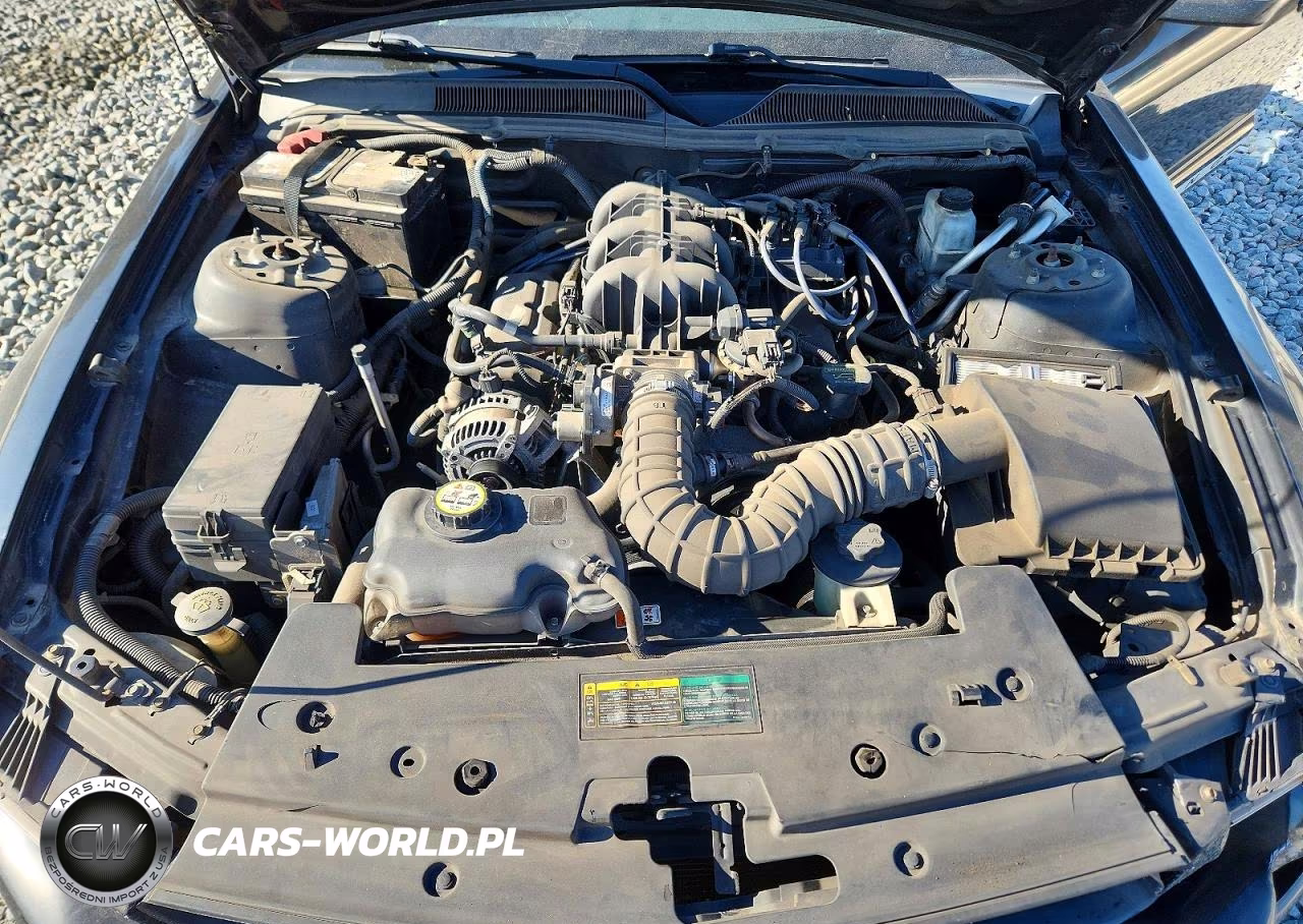 2009 Ford Mustang VIN:1ZVHT80N295120108 - 11