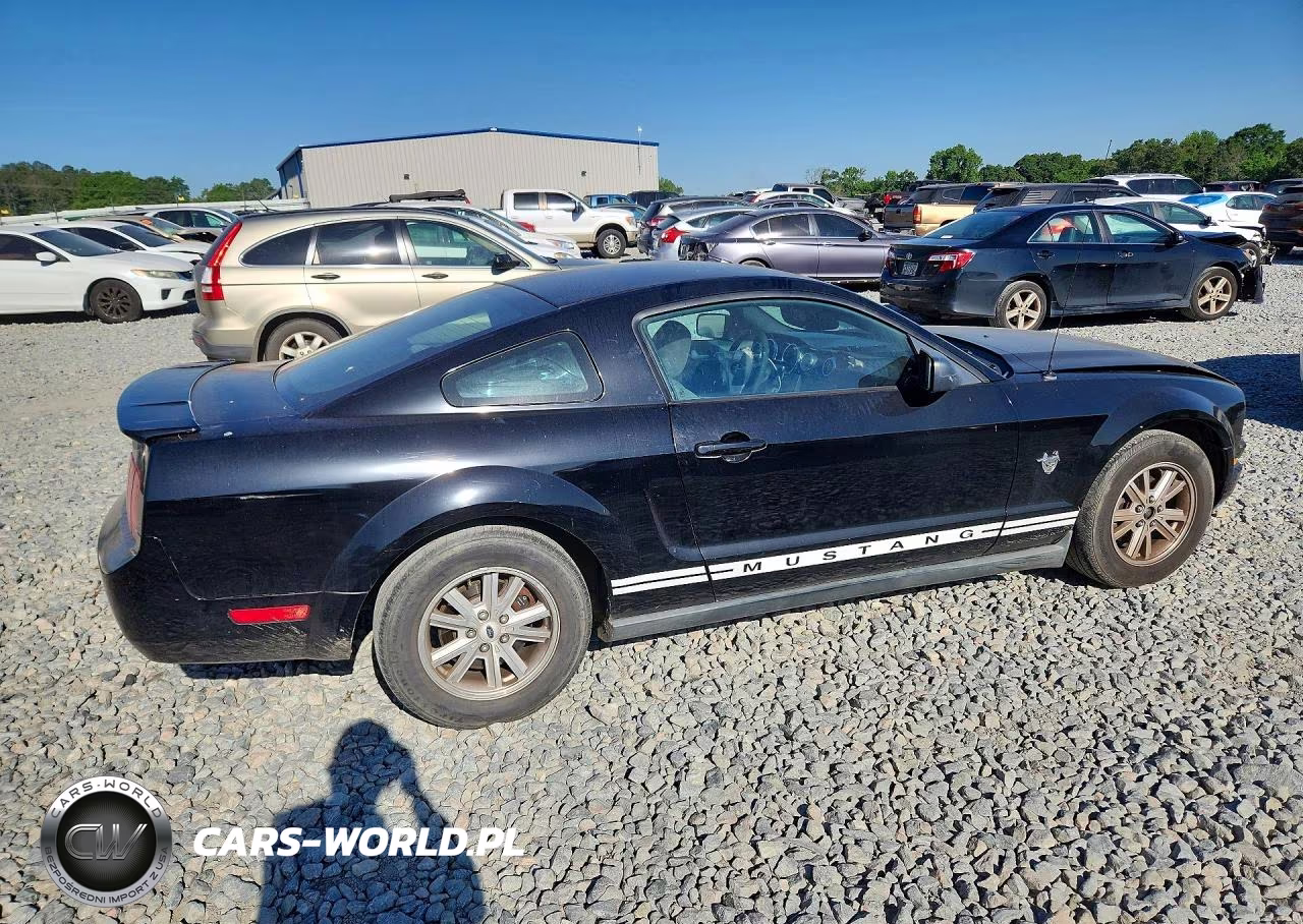 2009 Ford Mustang VIN:1ZVHT80N295120108 - 3