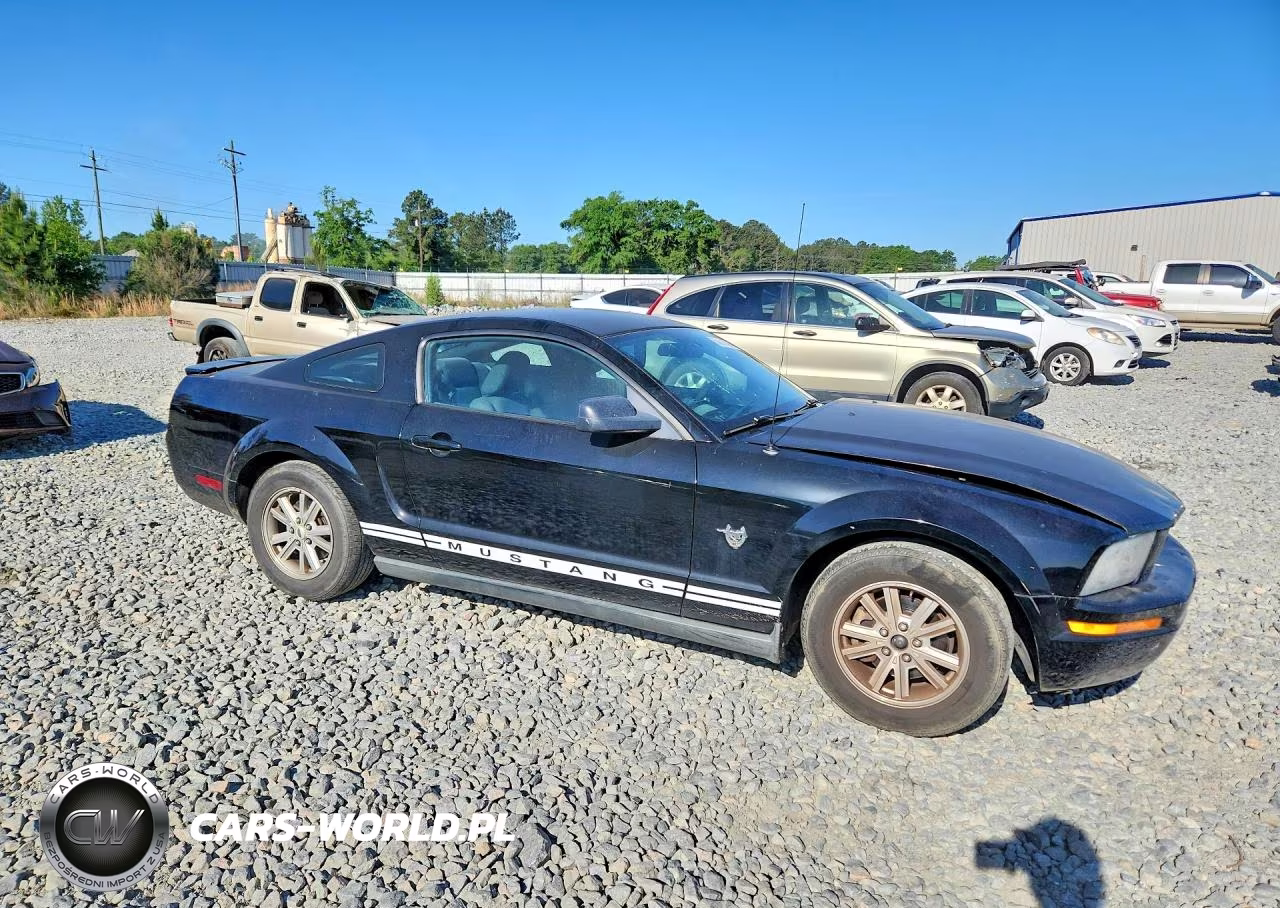 2009 Ford Mustang VIN:1ZVHT80N295120108 - 4