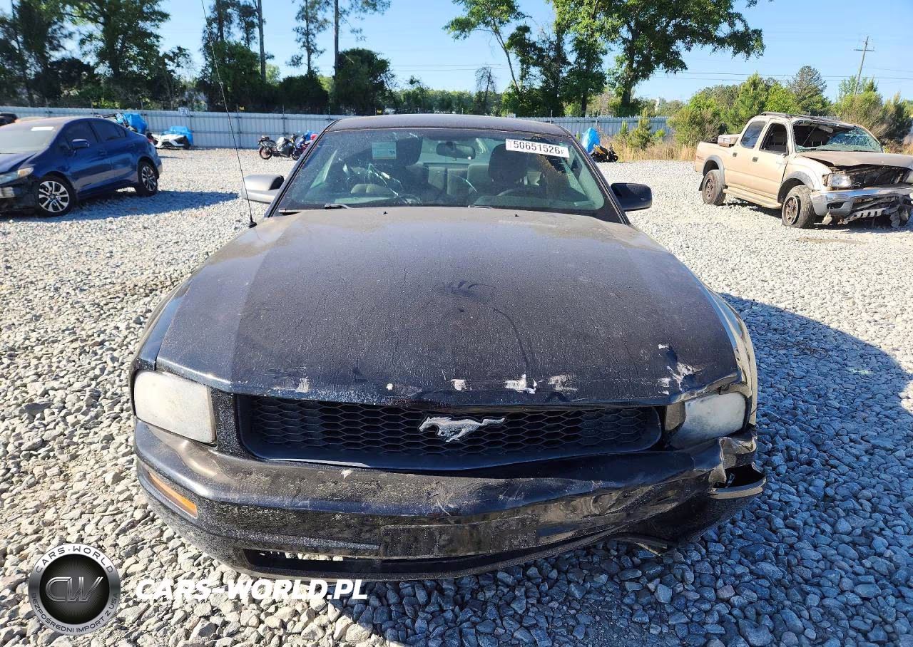 2009 Ford Mustang VIN:1ZVHT80N295120108 - 5