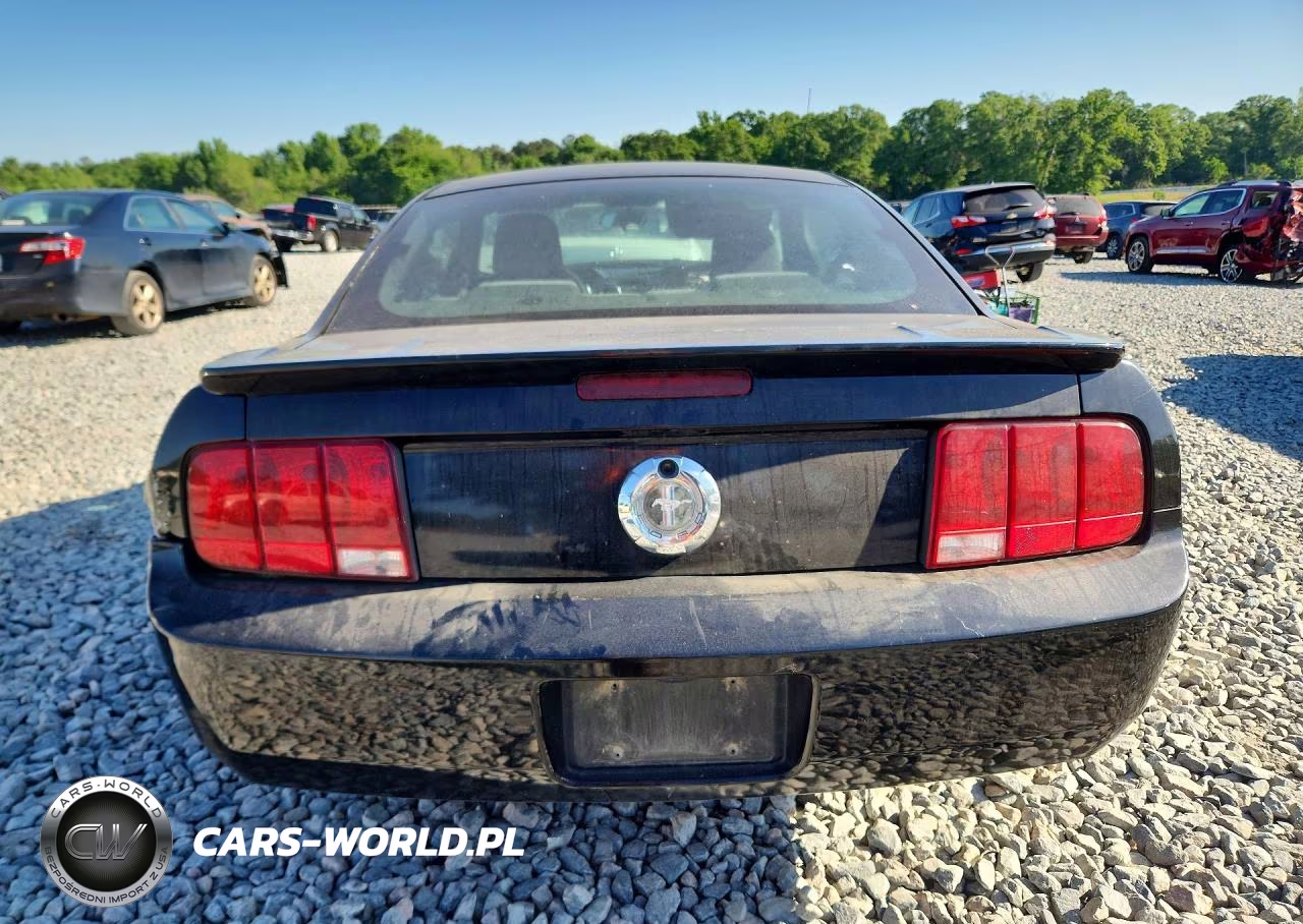 2009 Ford Mustang VIN:1ZVHT80N295120108 - 6