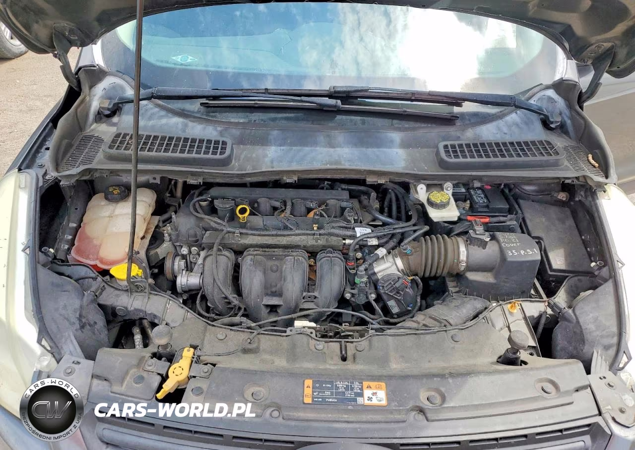2016 Ford Escape S VIN:1FMCU0F79GUA35544 - 12