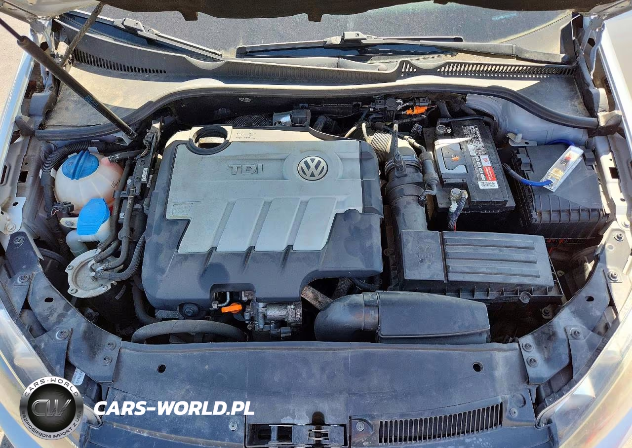 2013 Volkswagen Golf VIN:WVWDM7AJ4DW029493 - 11