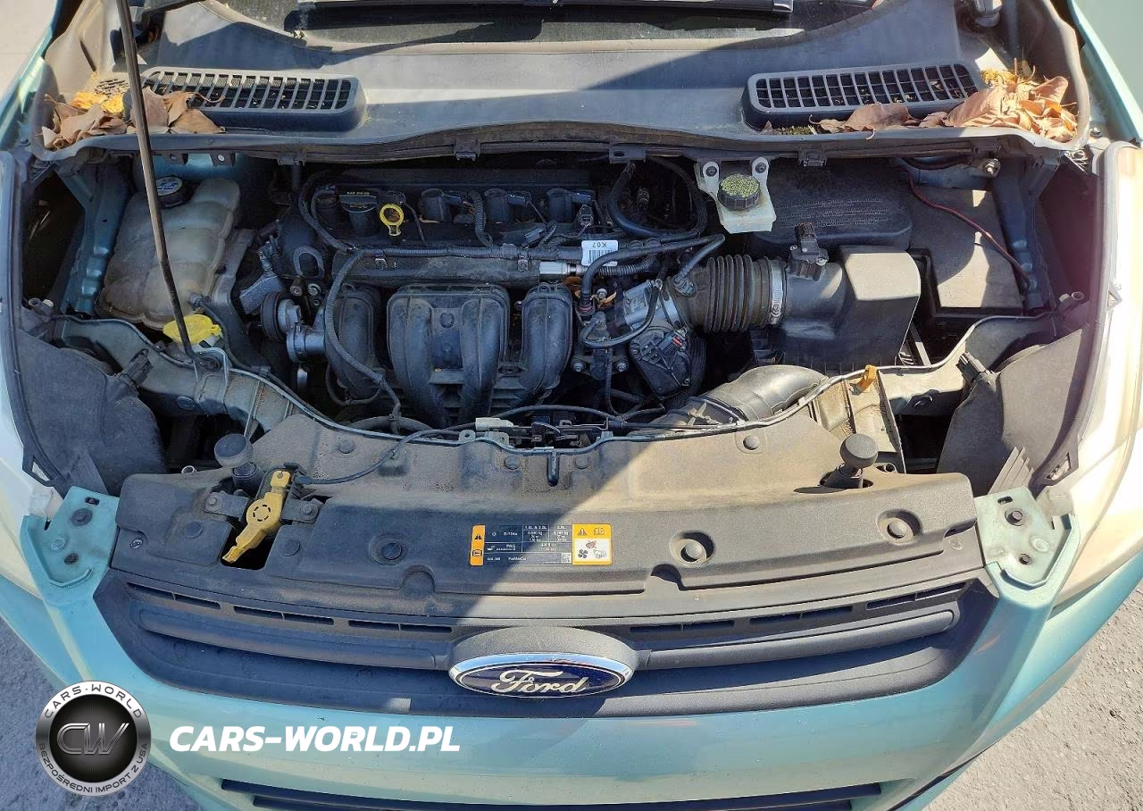 2013 Ford Escape S VIN:1FMCU0F79DUC42060 - 12
