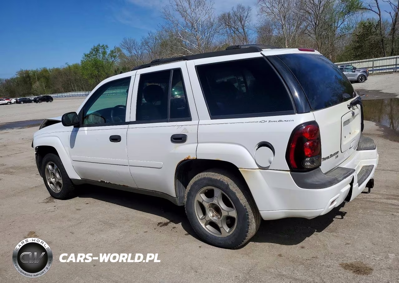 2007 Chevrolet Trailblazer Ls VIN:1GNDT13S972208217 - 2