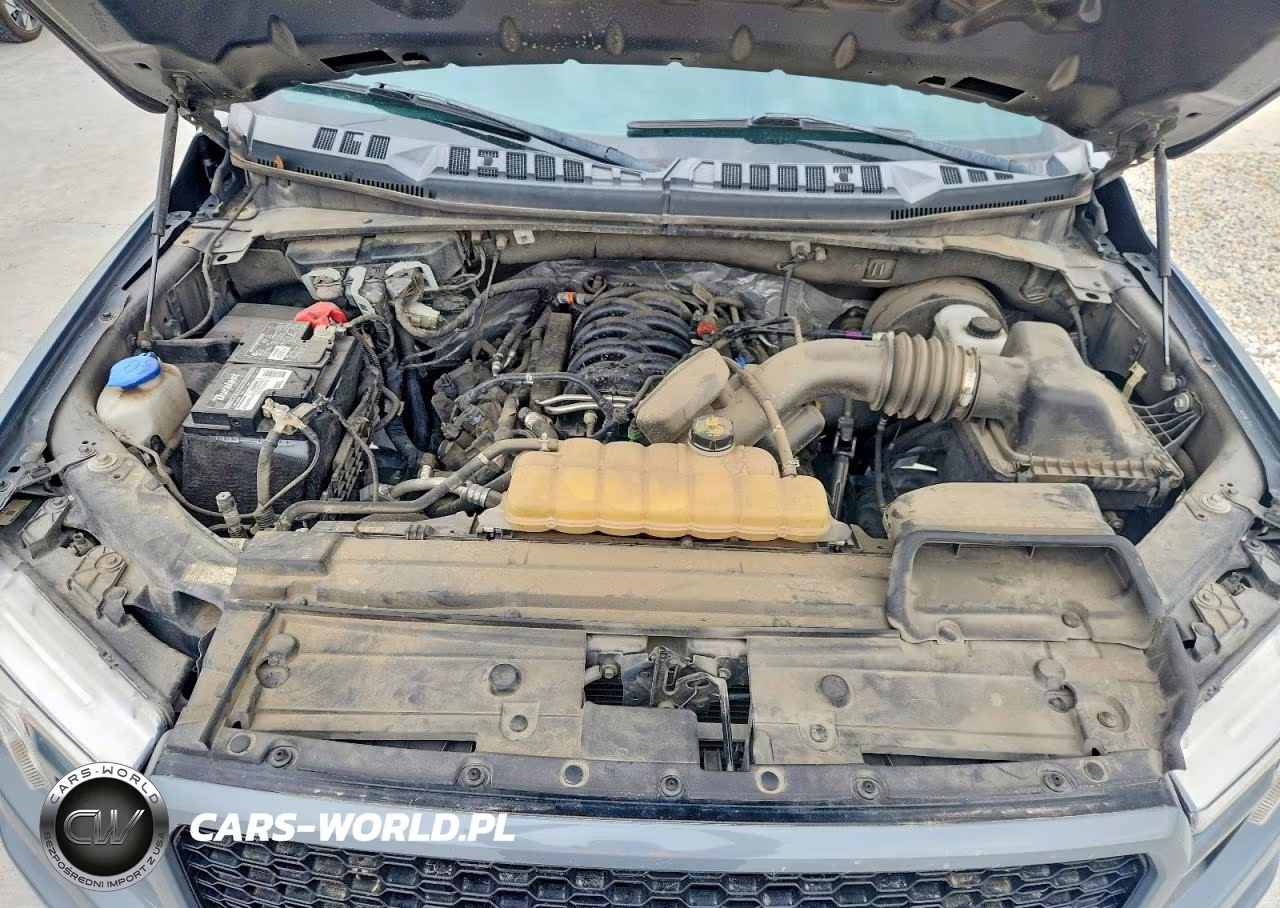 2020 Ford F150 Supercrew VIN:1FTEW1C59LKE71381 - 11