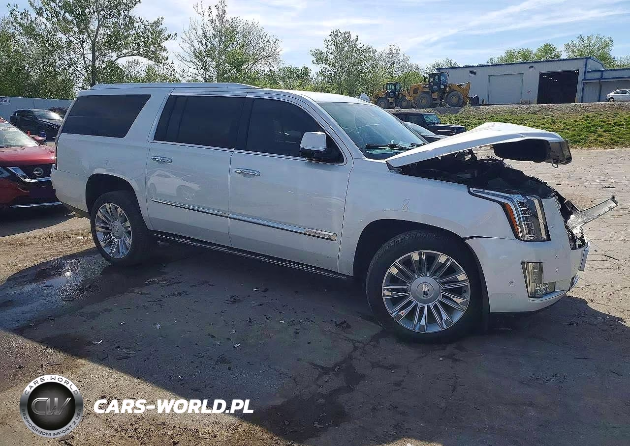 2017 Cadillac Escalade Esv Platinum VIN:1GYS4KKJ1HR200997 - 4