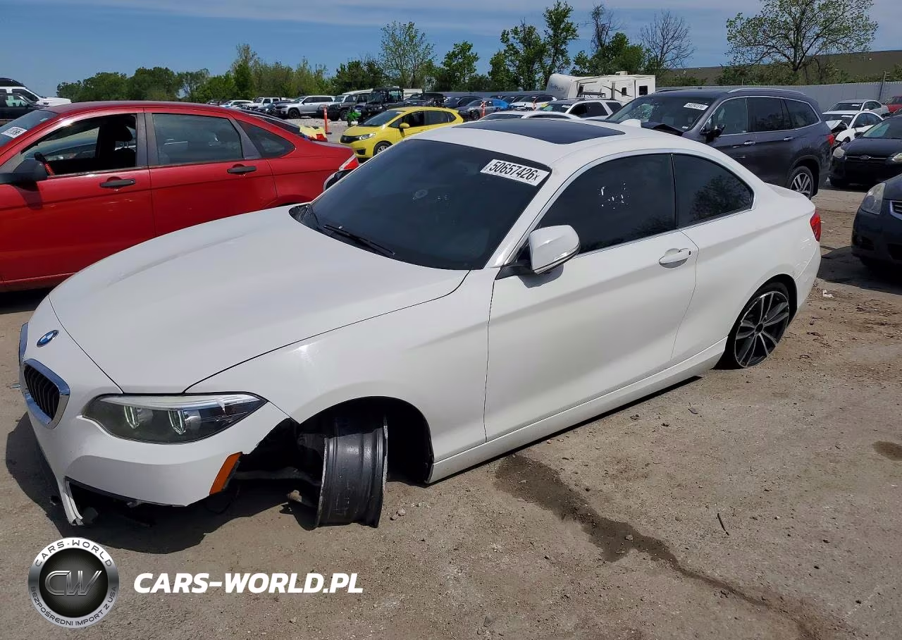 2018 BMW 230I
