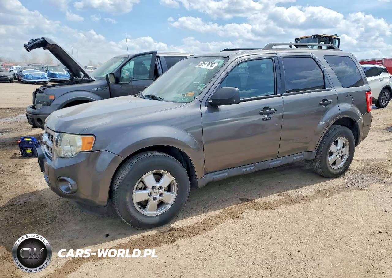 2010 Ford Escape Xlt