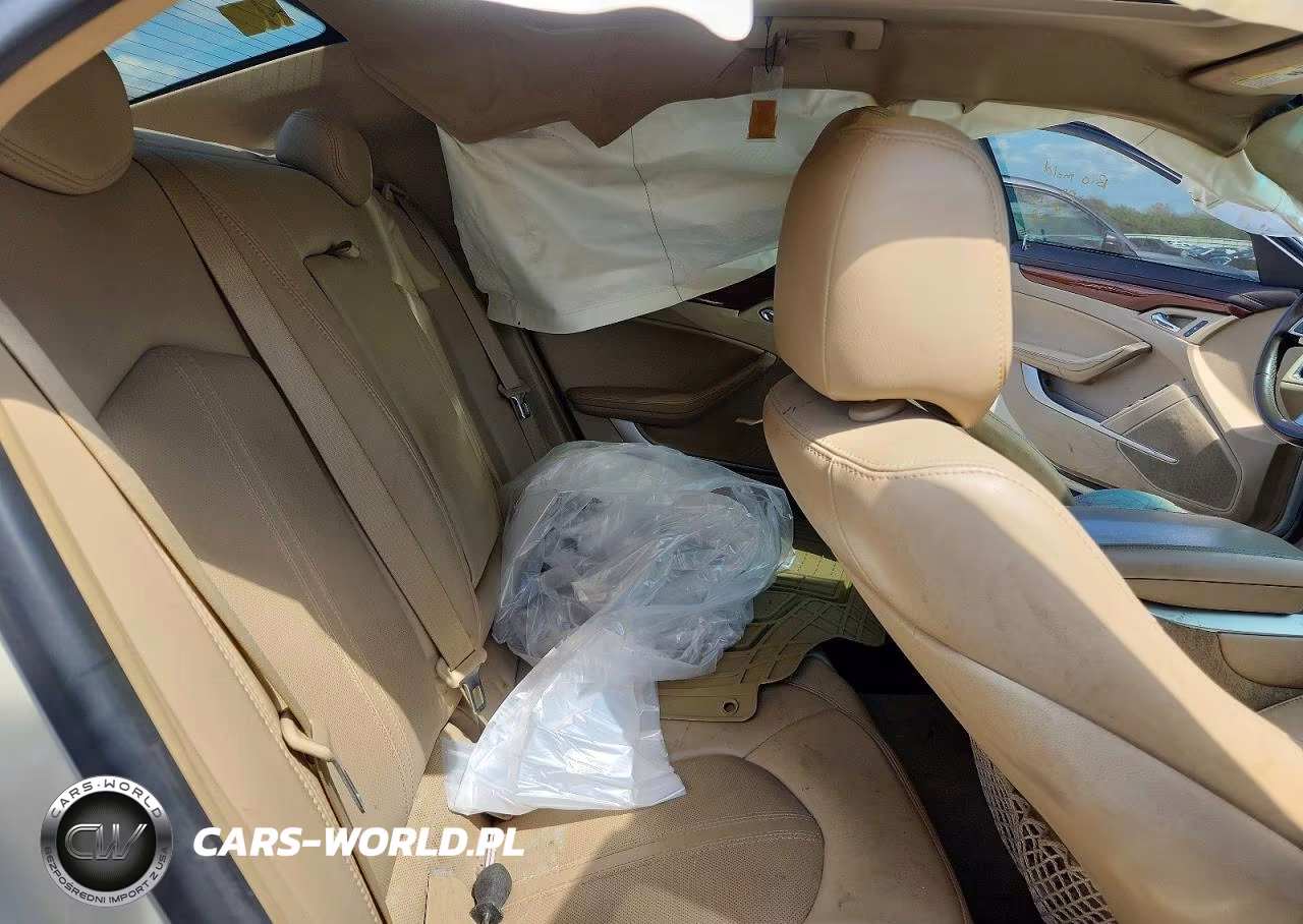 2010 Cadillac Cts Luxury Collection VIN:1G6DE5EG8A0134782 - 10