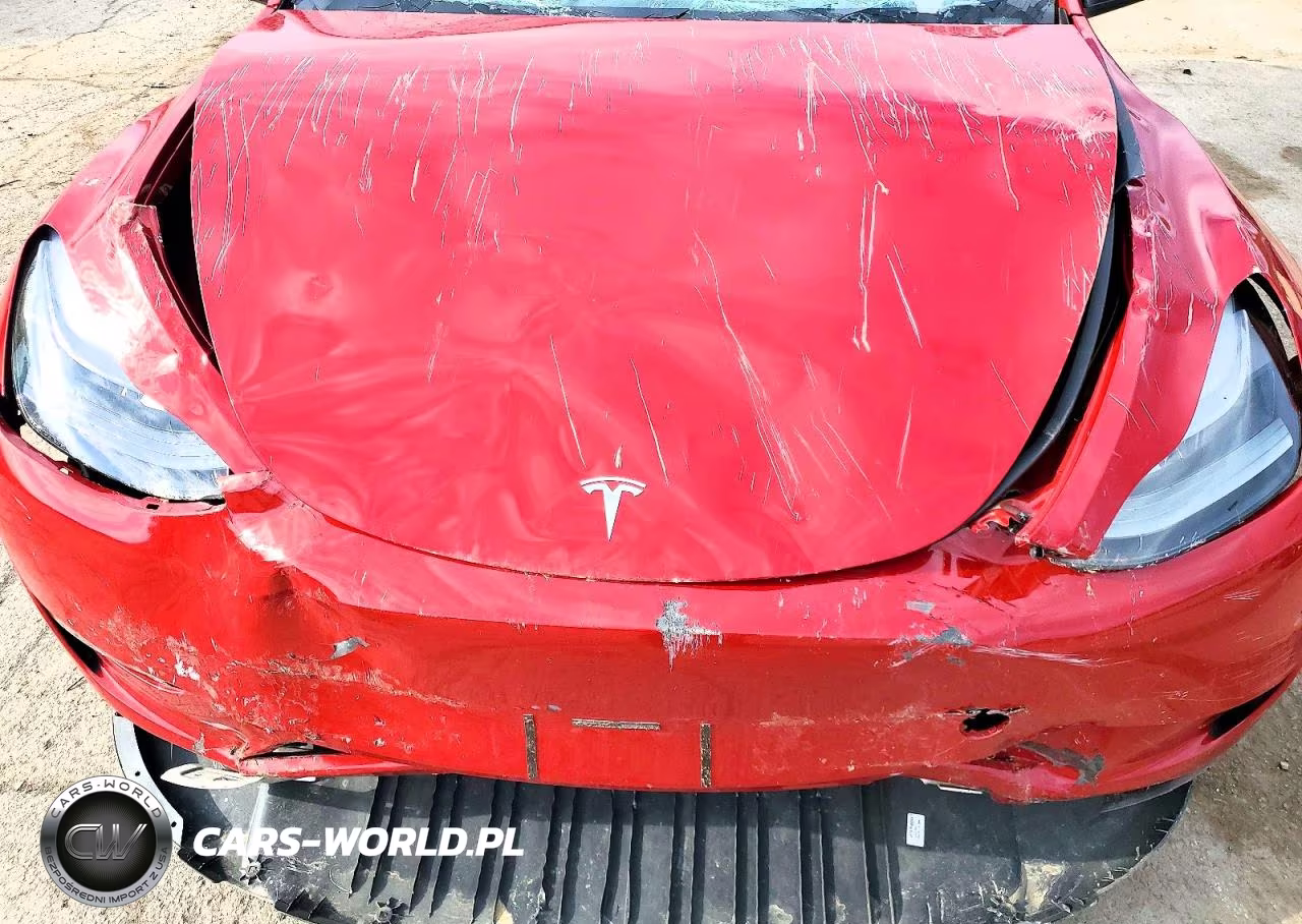 2023 Tesla Model Y VIN:7SAYGDEE2PA203851 - 11