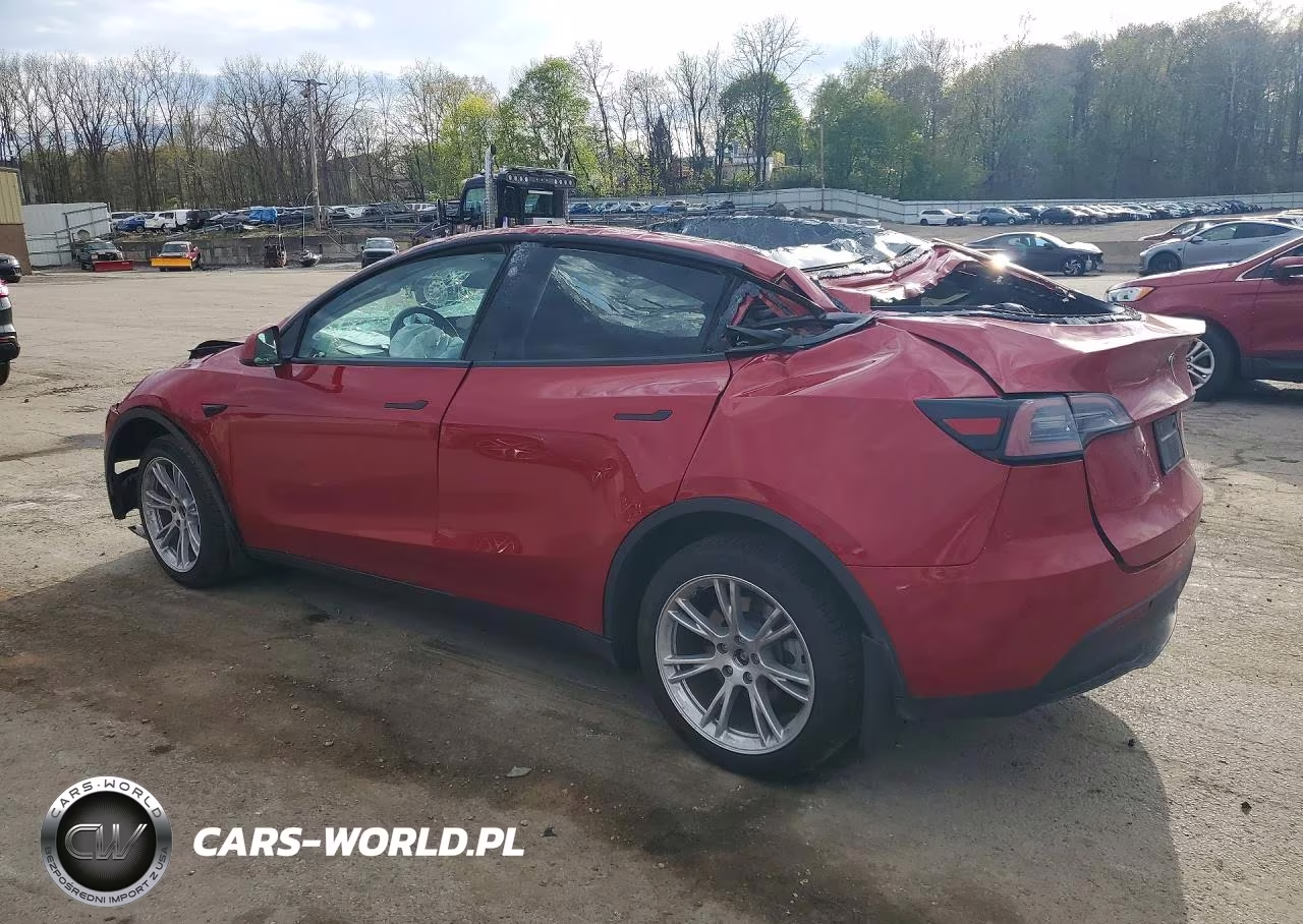 2023 Tesla Model Y VIN:7SAYGDEE2PA203851 - 2