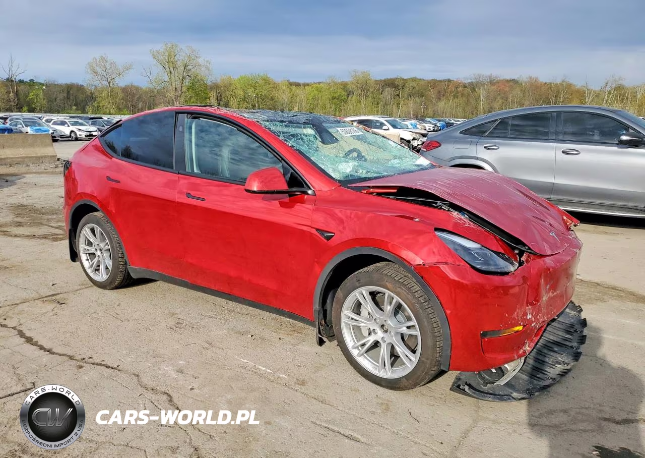 2023 Tesla Model Y VIN:7SAYGDEE2PA203851 - 4