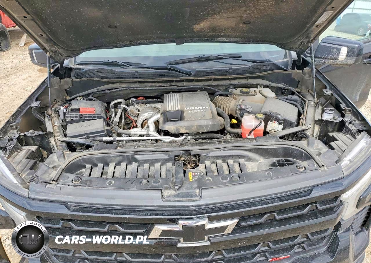 2024 Chevrolet Silverado K1500 Lt Trail Boss VIN:3GCUDFE81RG120941 - 11