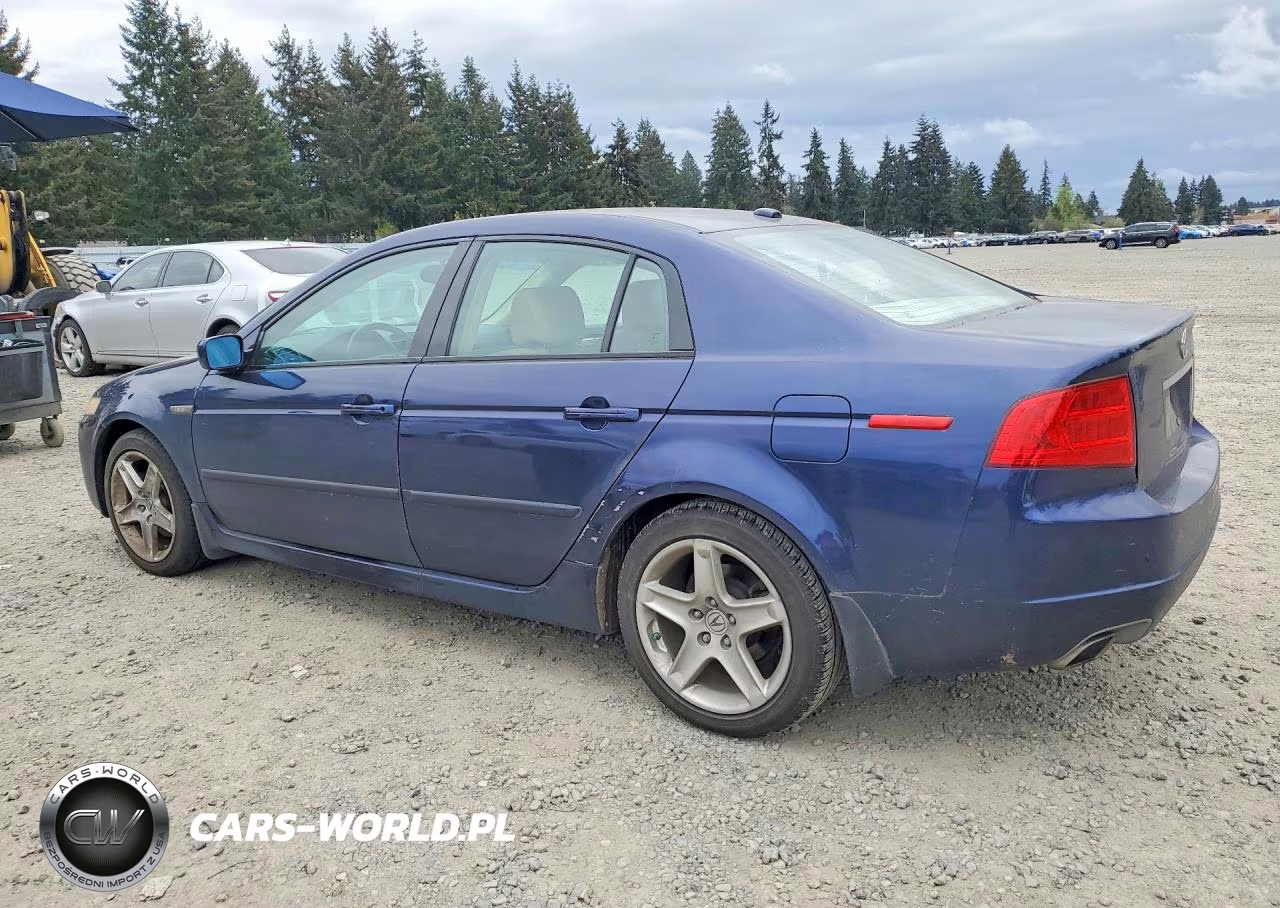 2006 Acura 3.2Tl VIN:19UUA66276A004643 - 2