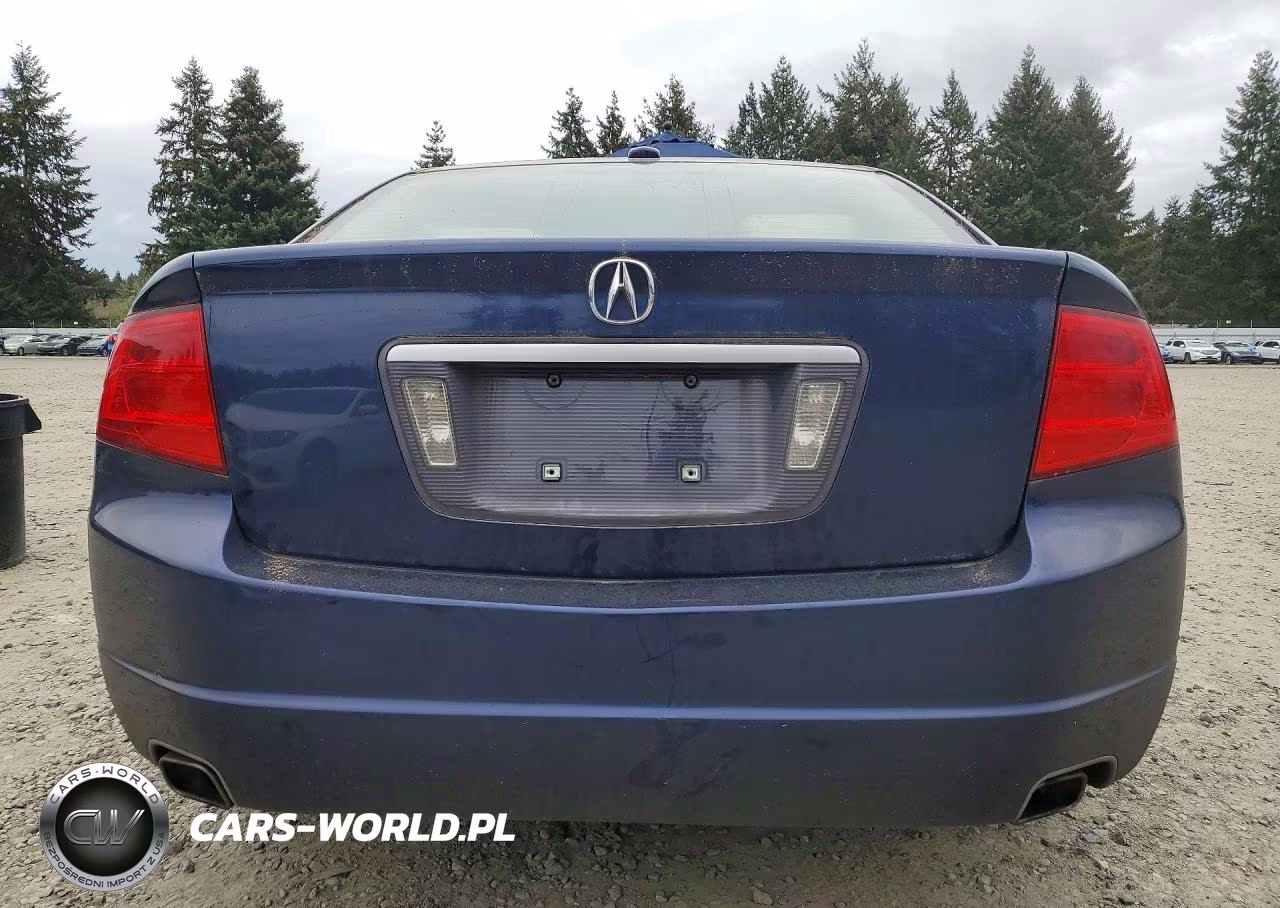 2006 Acura 3.2Tl VIN:19UUA66276A004643 - 6