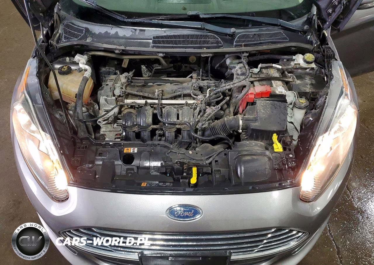 2014 Ford Fiesta Se VIN:3FADP4BJ0EM195358 - 11