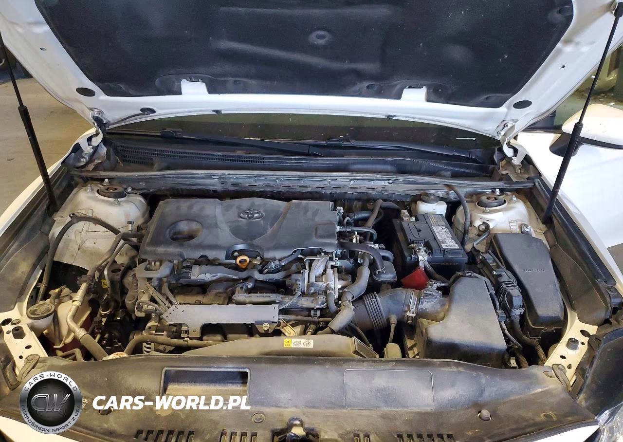 2019 Toyota Camry Le VIN:4T1B11HK3KU264578 - 11
