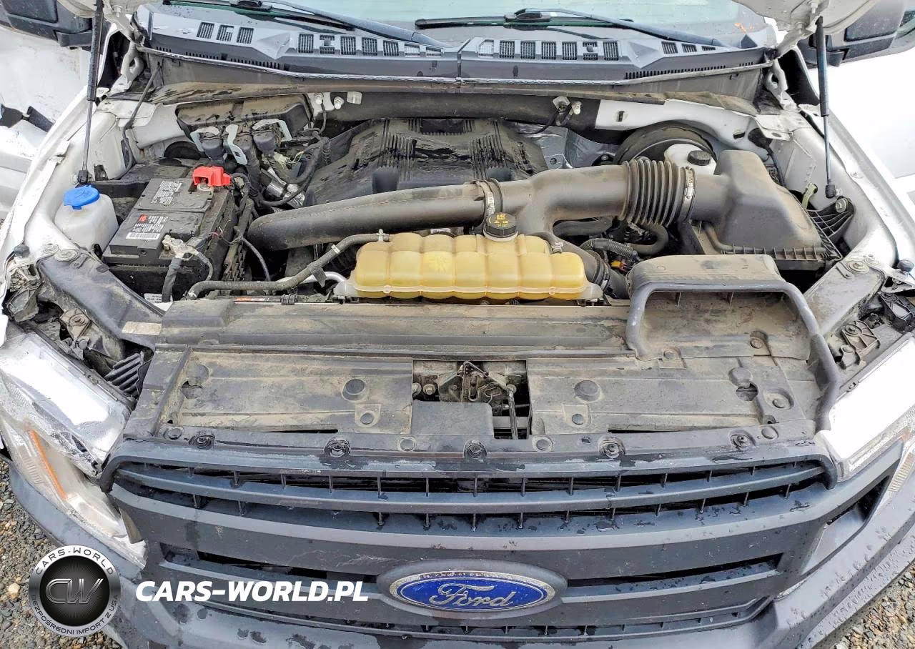 2020 Ford F150 Supercrew VIN:1FTEW1C47LKE45613 - 11