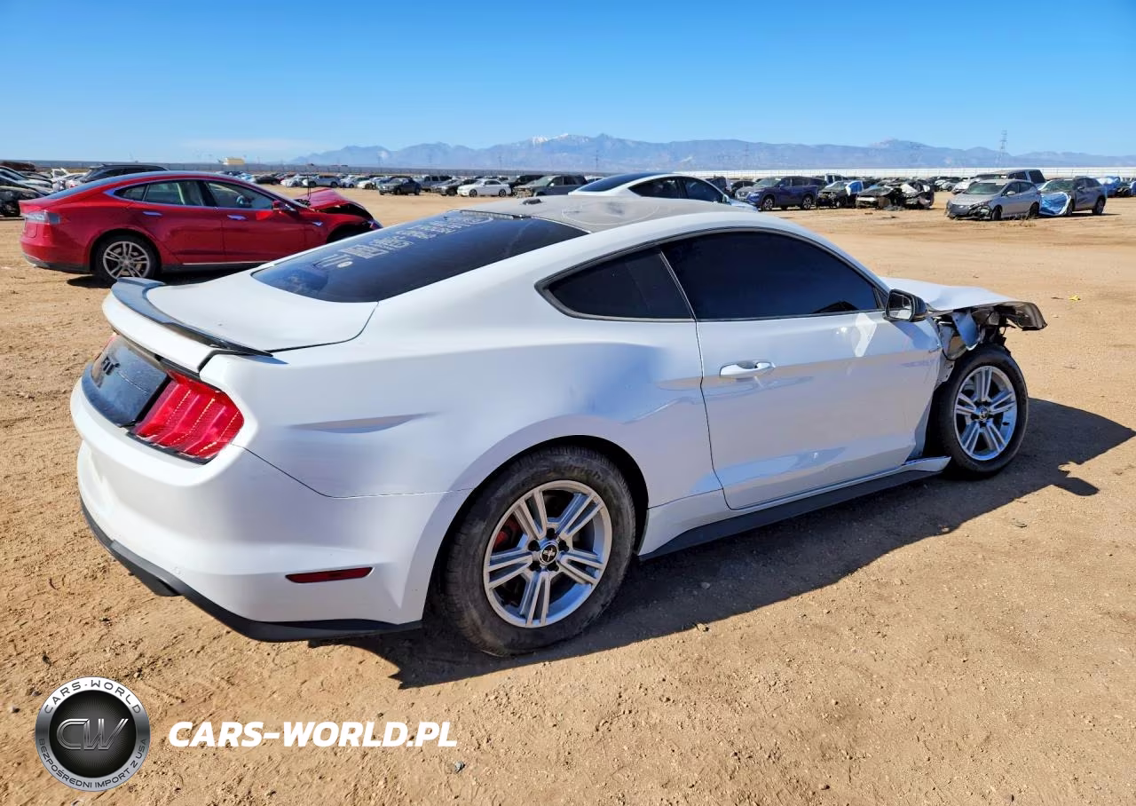 2020 Ford Mustang Gt VIN:1FA6P8CF8L5112403 - 3
