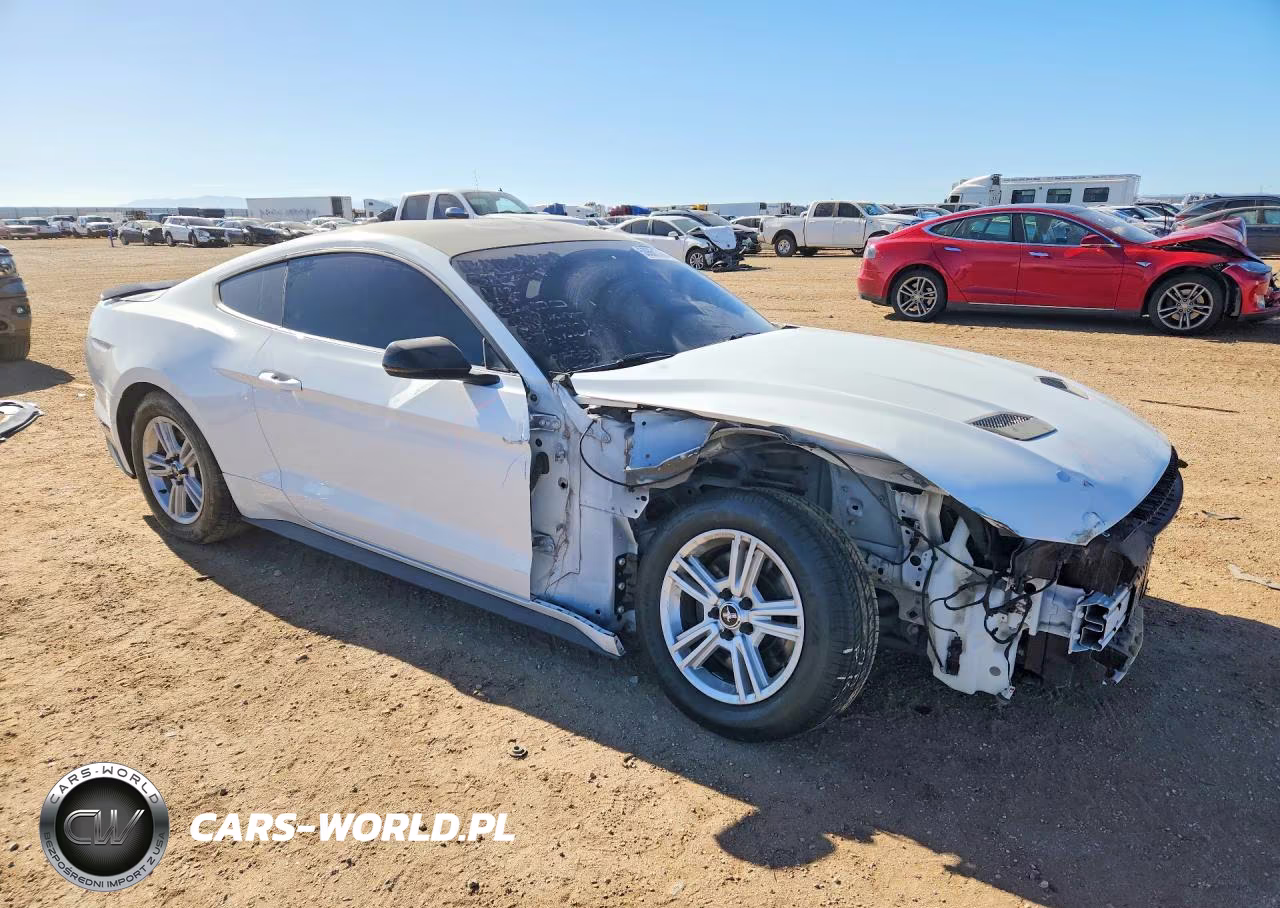 2020 Ford Mustang Gt VIN:1FA6P8CF8L5112403 - 4