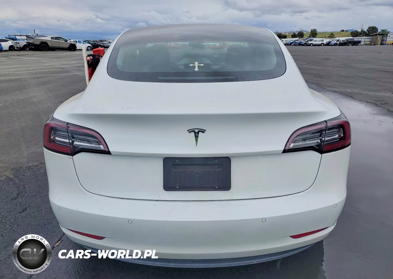 2020 Tesla Model 3 VIN:5YJ3E1EA1LF597719 - 6