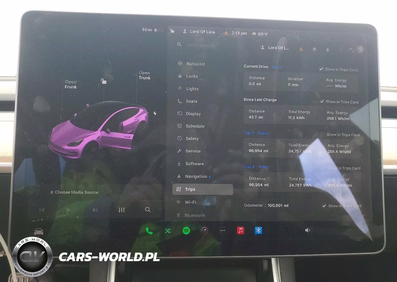 2020 Tesla Model 3 VIN:5YJ3E1EA1LF597719 - 9