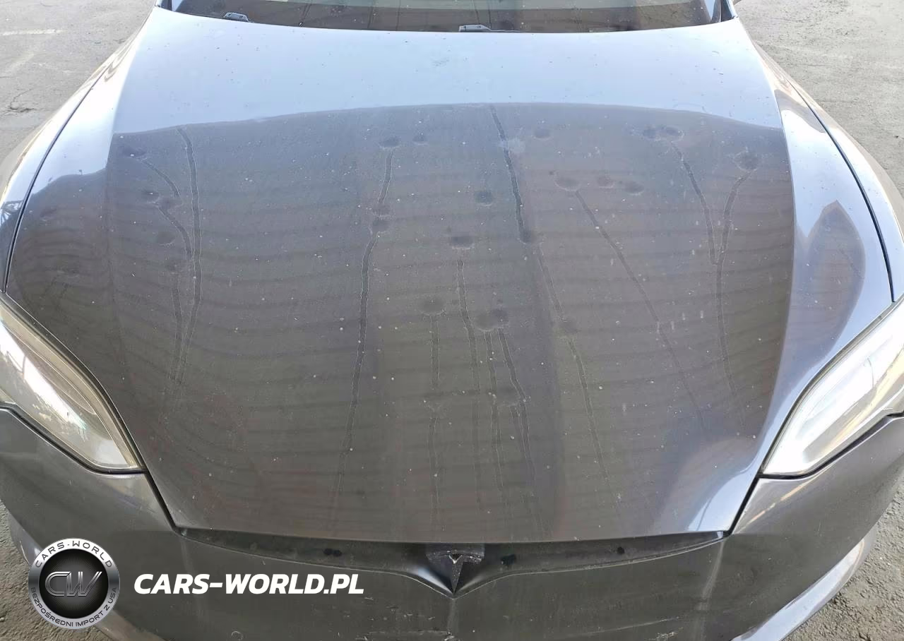 2017 Tesla Model S VIN:5YJSA1E19HF228489 - 11