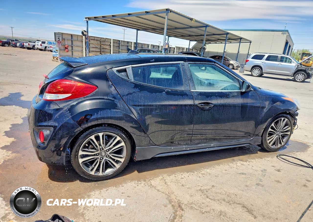 2016 Hyundai Veloster Turbo VIN:KMHTC6AE7GU255745 - 3