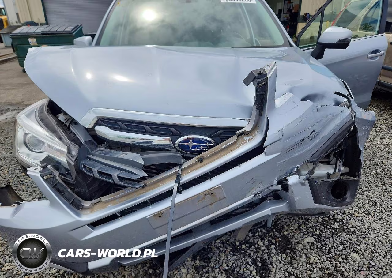 2017 Subaru Forester 2.5I Touring VIN:JF2SJAWC6HH432006 - 12