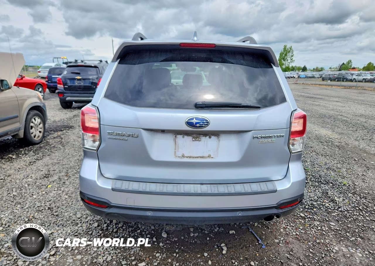 2017 Subaru Forester 2.5I Touring VIN:JF2SJAWC6HH432006 - 6
