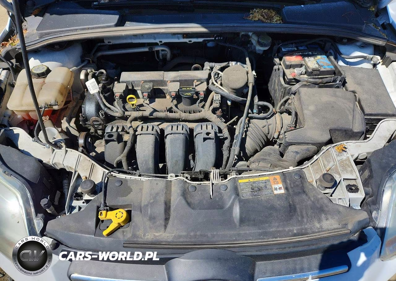 2013 Ford Focus S VIN:1FADP3E27DL320662 - 11