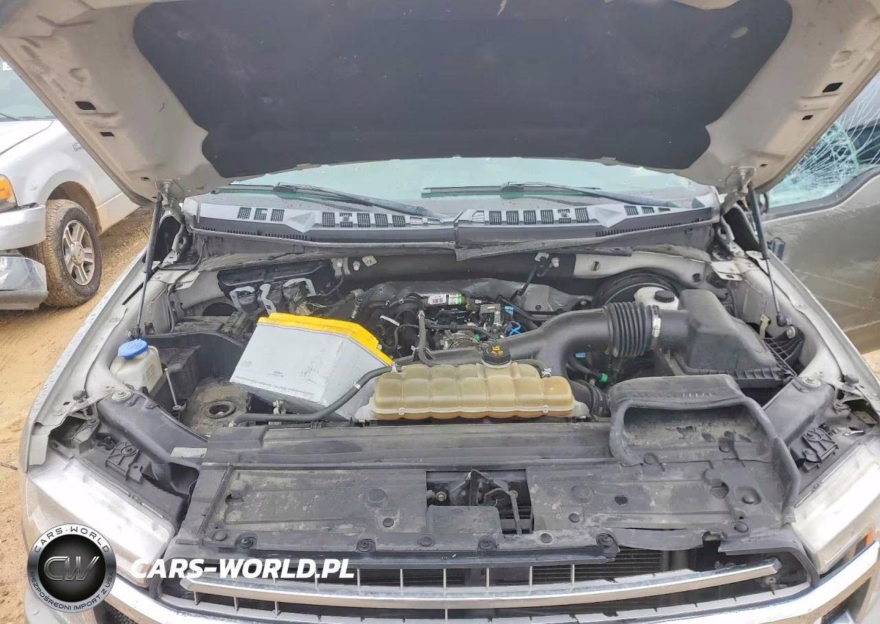 2020 Ford F150 Supercrew VIN:1FTEW1CP2LKD65663 - 11