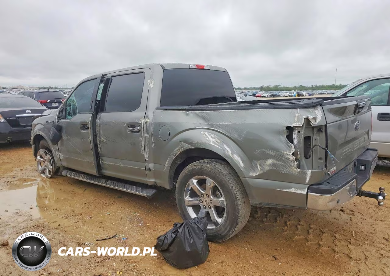 2020 Ford F150 Supercrew VIN:1FTEW1CP2LKD65663 - 2
