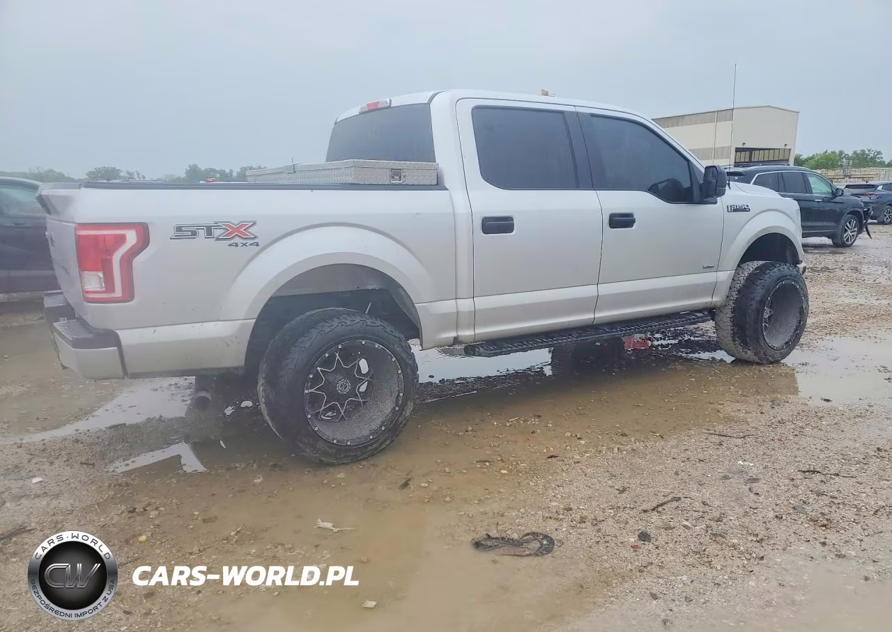 2017 Ford F150 Supercrew VIN:1FTEW1EP8HKD53666 - 3
