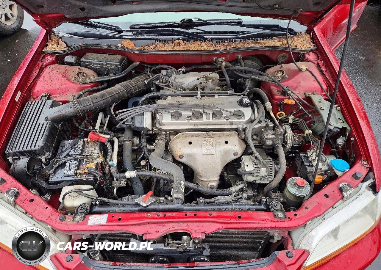 2000 Honda Accord Se VIN:JHMCG5674YC009772 - 11