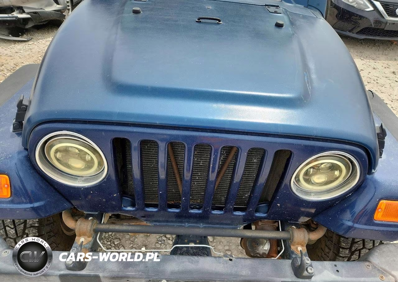 2002 Jeep Wrangler - Tj Sport VIN:1J4FA49S42P754168 - 11
